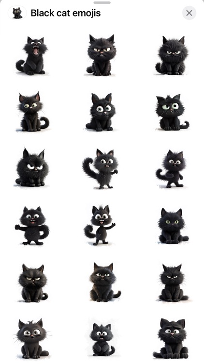 Black Cat Moods