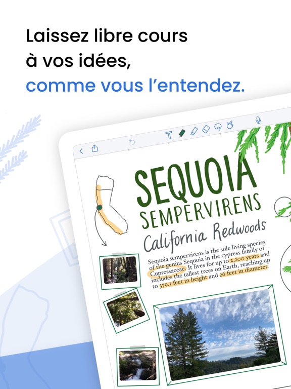 Notability Notability