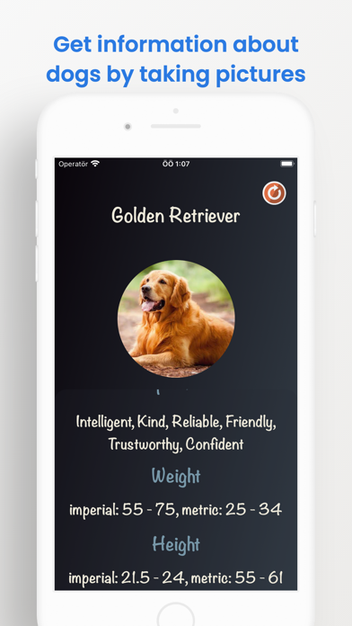 DogeDex - dog recognizer screenshot 3