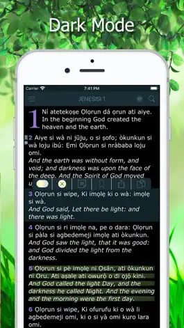 Game screenshot Yoruba Bible Holy Version KJV hack