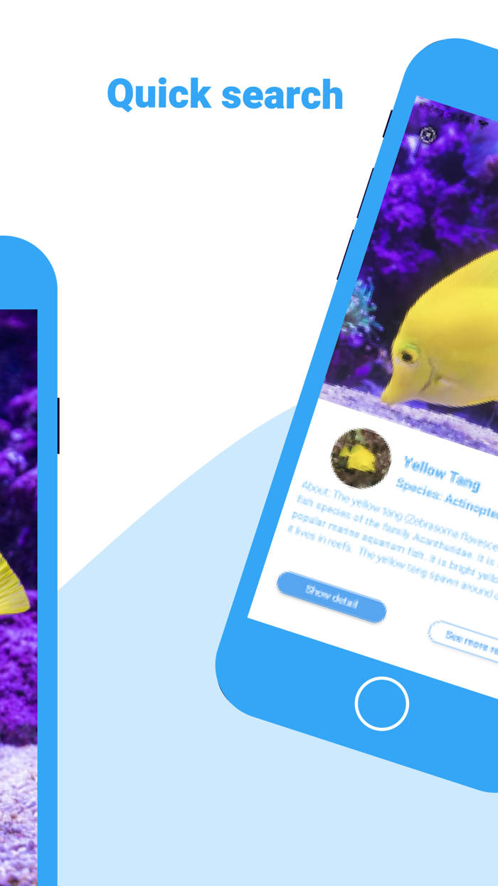 Fish identifier  find Fish