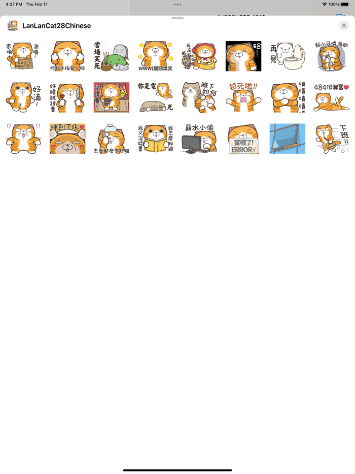 白爛貓28 動不停