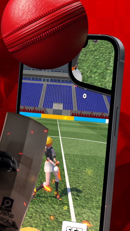 Cricket Frenzy Challenge