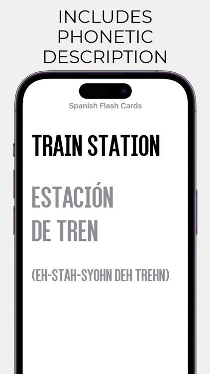 Spanish Flash Cards screenshot-3