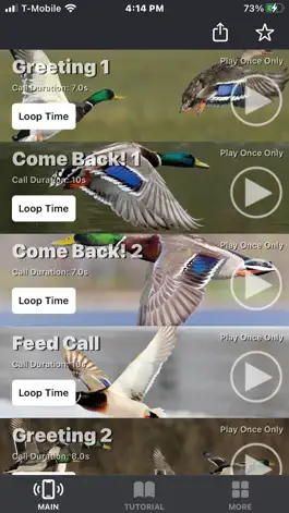 Game screenshot Mallard Duck Calls mod apk