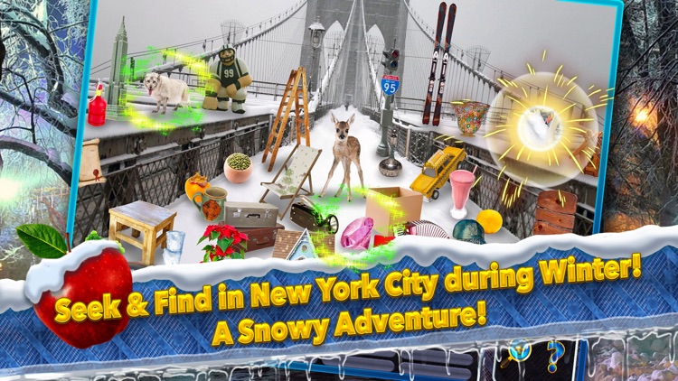 Hidden Object New York Winter