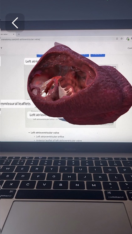 XR Anatomy screenshot-7