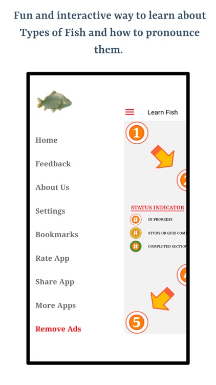 Types of Fish screenshot-5