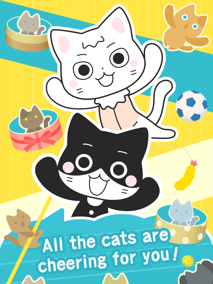 CatCoin - Coin drop with a cat