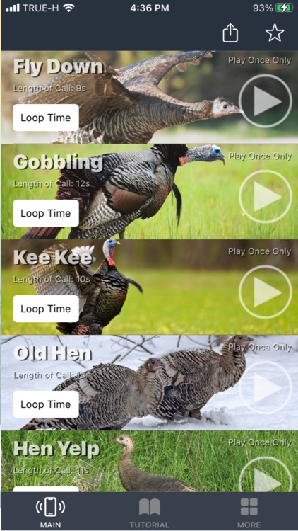 Turkey Calls for Hunting screenshot-3