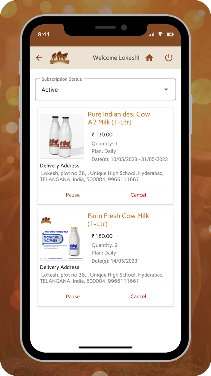 BrownCows Organic Dairy Farm