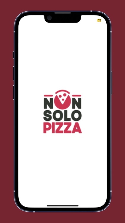 Non Solo Pizza BG