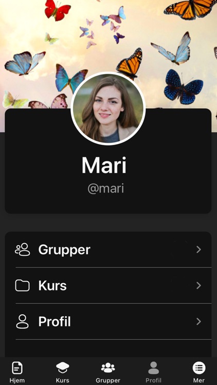 A-klassen screenshot-3