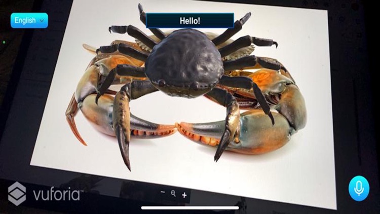 Animals screenshot-4