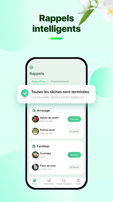 Plant Parent - Guide entretien Plant Parent - Guide entretien