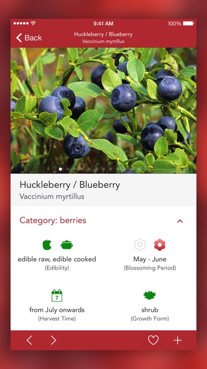 Wild Berries and Herbs 2 PRO screenshot-3