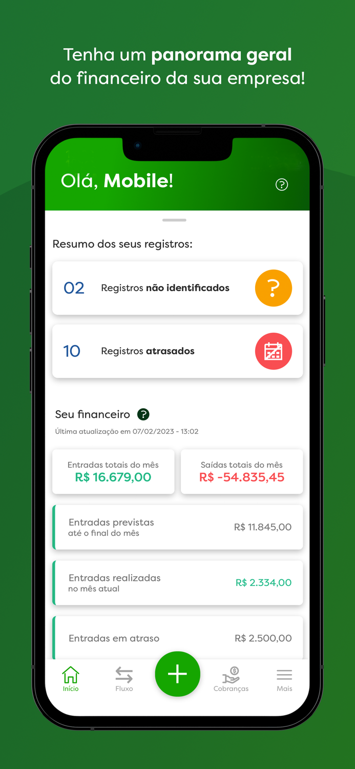 Organizador Financeiro