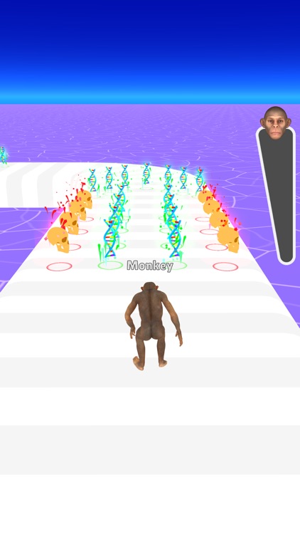 Evolution Run 3D