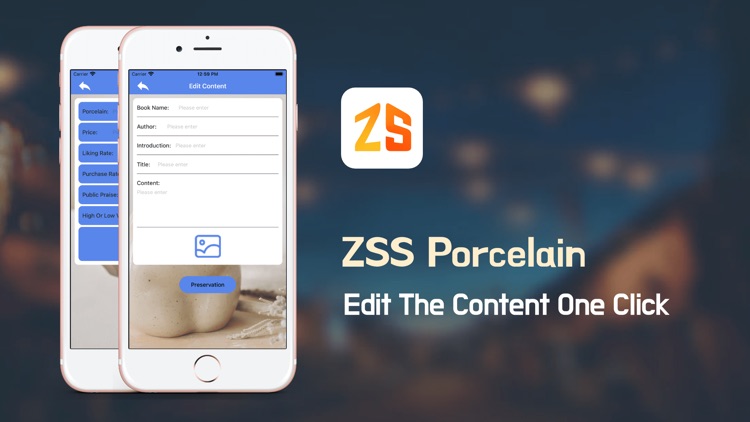 ZSS Porcelain