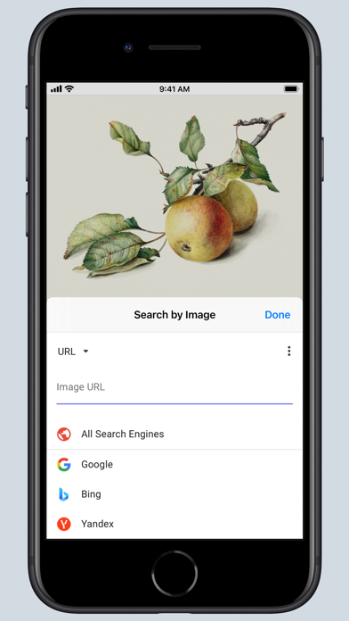 search-by-image-for-safari-ipad-screen-shot-4