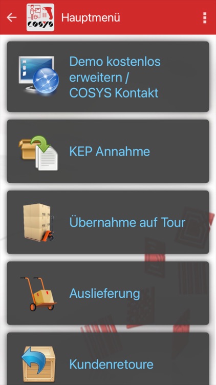 COSYS Pakettransport