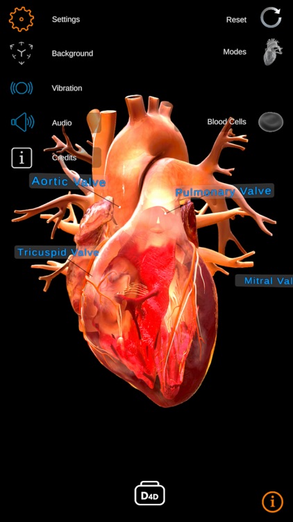 TheHeartPhysiologyApp