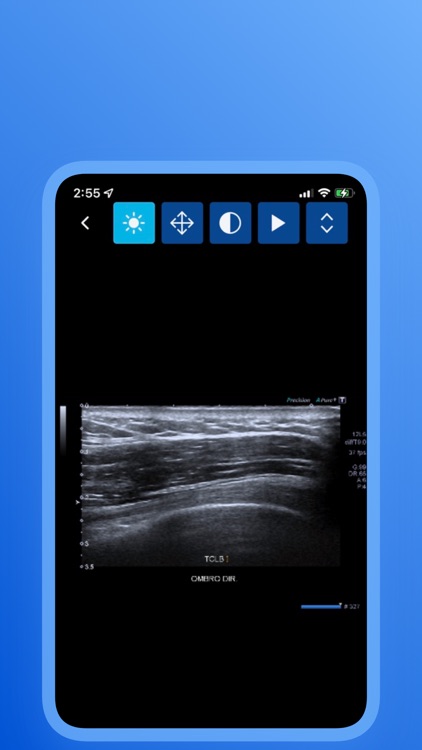 Polos Entrega de Exames