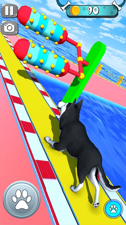 Epic Dog Fun Run Race 3D