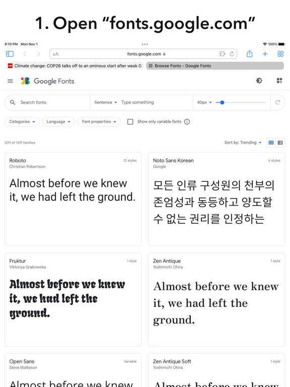 Any Font for Safari screenshot 3