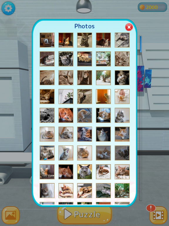 Cat's Gallery screenshot 4