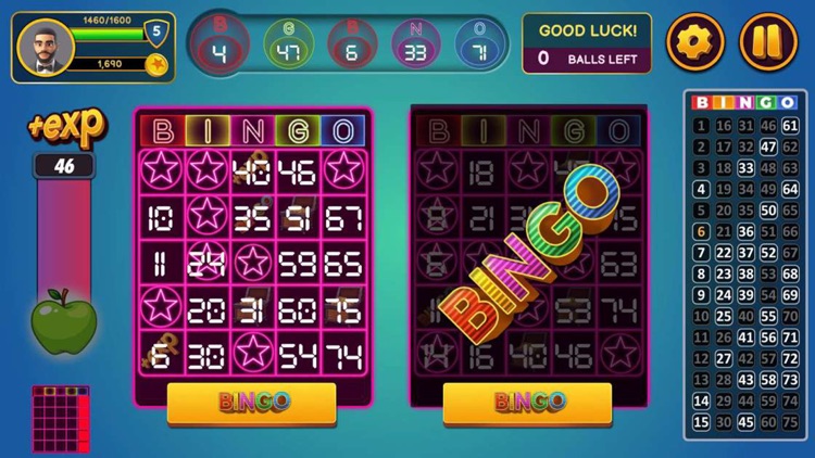 Bingo Classic! screenshot-5