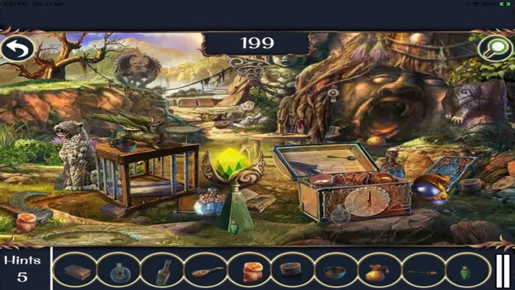 Treasure Hunt Hidden Objects screenshot-3