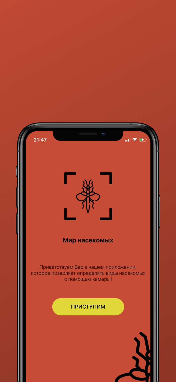 Мир насекомых