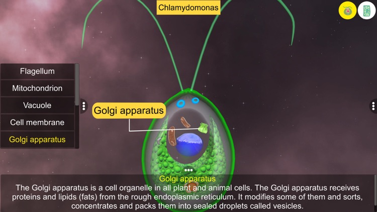 Learn Algae screenshot-3