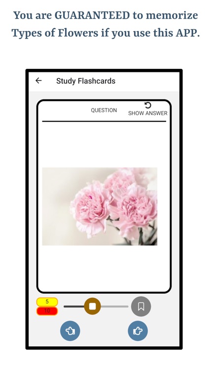 Types Of Flowers screenshot-4