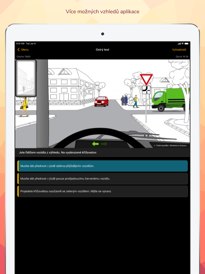 Profesní způsobilost řidiče