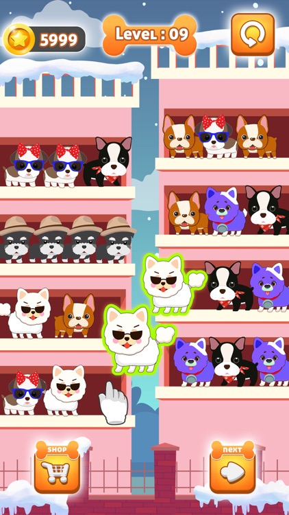 My Dog Sort Games Pet Shelter
