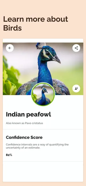 Screenshot 5 Bird Identification: Bird App iphone
