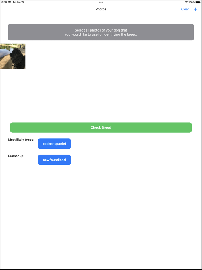 Dog Breed Identifier App