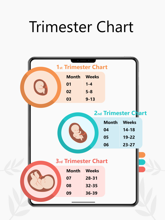 Pregnancy Tracker Week by Week screenshot 3