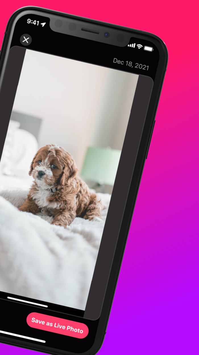 Live Wallpaper Maker - Video