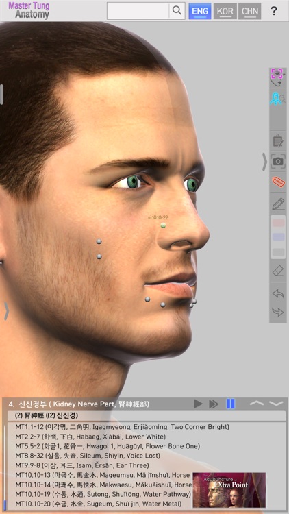 Master Tung`s Acupoint Anatomy screenshot-4