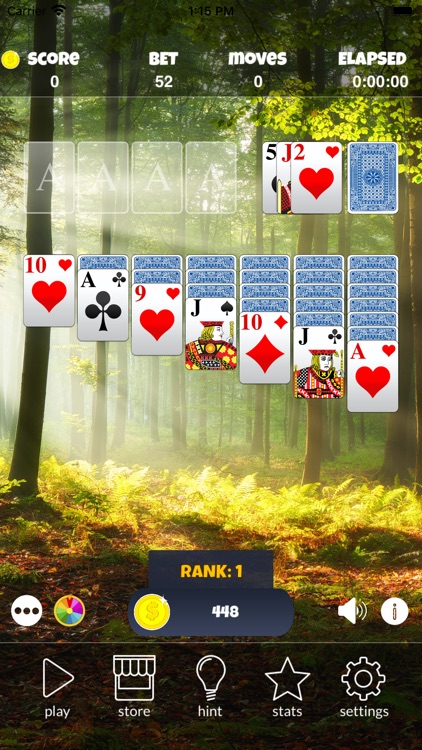 Casino Solitaire $