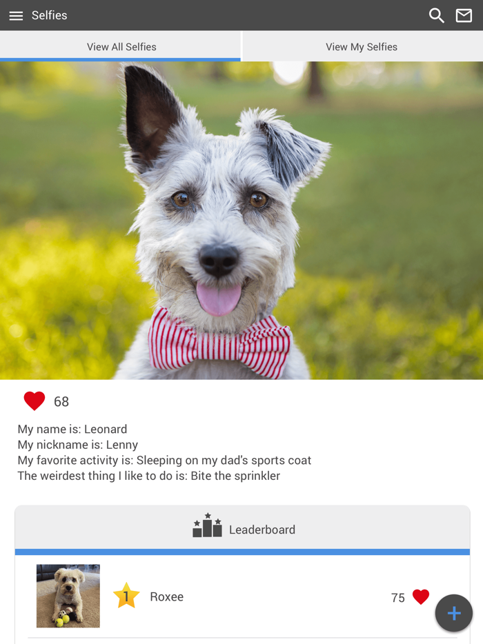 At Home Veterinary Care