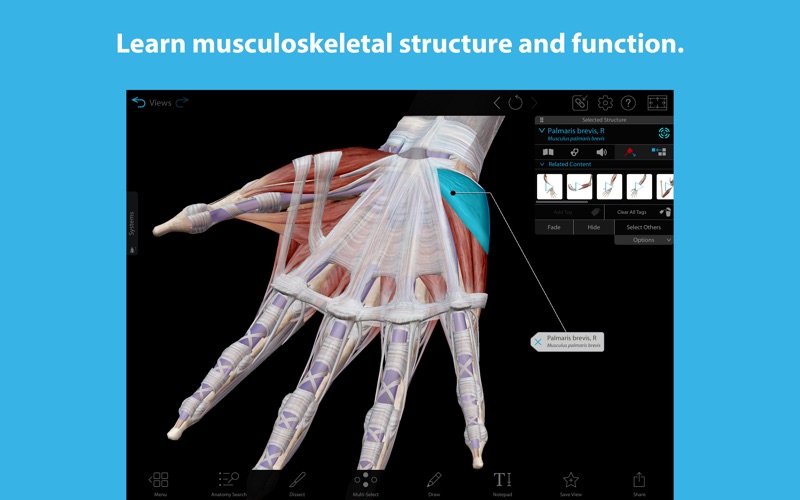 3D Human Anatomy Atlas for Windows Pc & Mac: Free Download (2023
