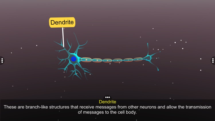 Learn Neuron screenshot-3