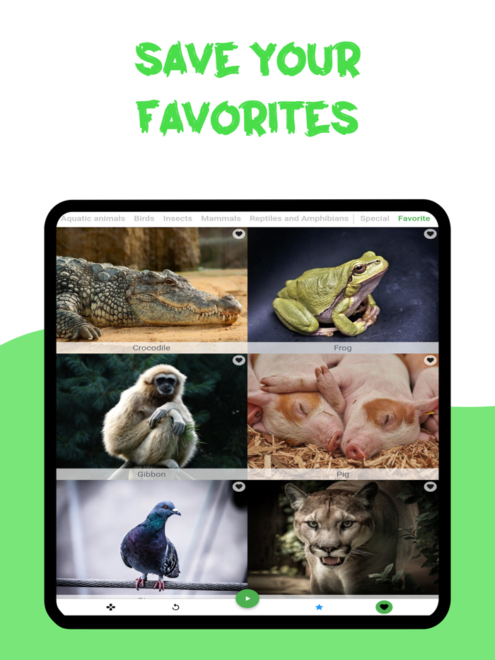 Animal sounds, Guess the verse