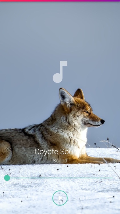 Coyote Sounds Pro screenshot-4