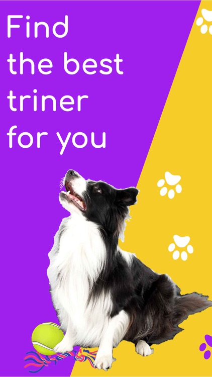 Geppaw: Find your dog trainer