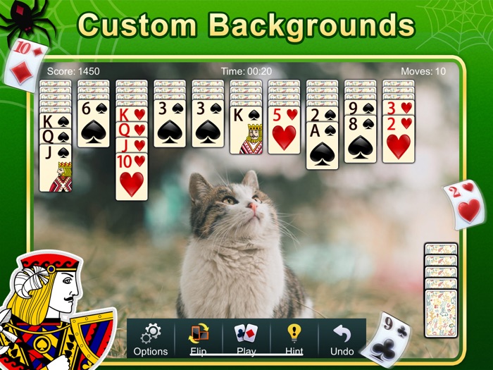 Spider Solitaire - ACE